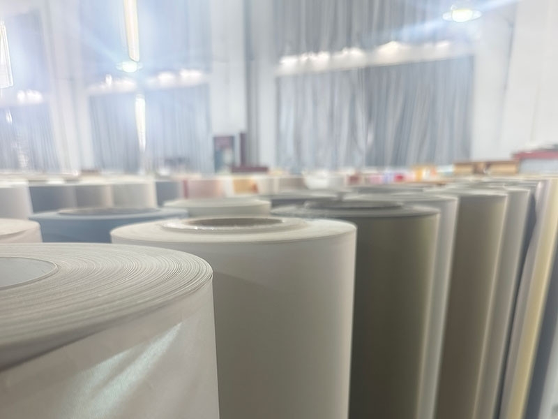 2023年4月，添丽公司申报科技纸、装饰纸浸渍纸生产线建设项目