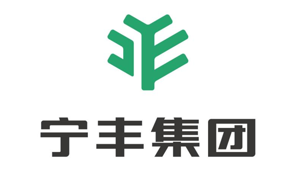 宁丰集团